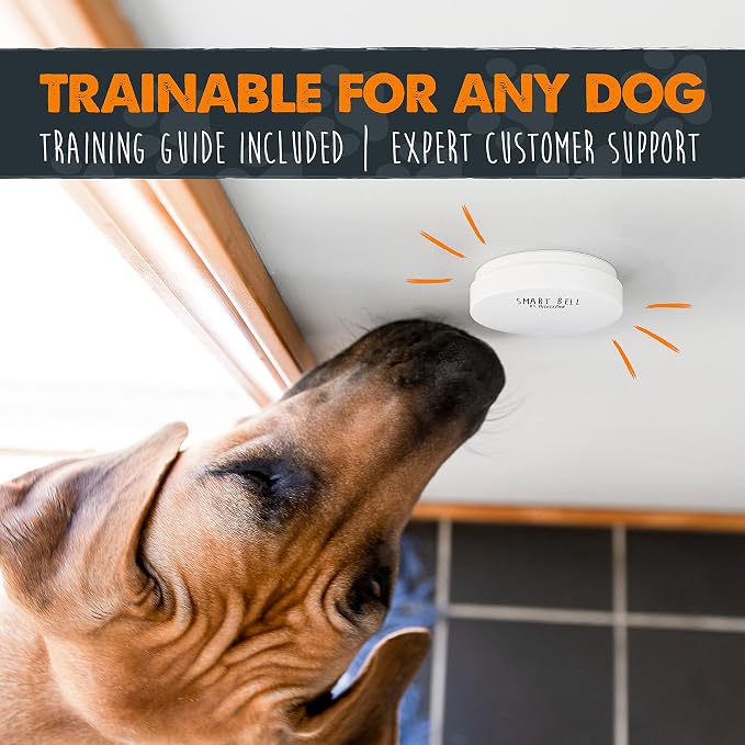 Mighty Paw Smart Bell 2.0 Dog Door Bell for Potty Training Dogs & Puppies, Wireless Dog Potty Communication, Door Bells for Dogs to Go Outside, Easy-Press Puppy Training Tools, 1 Pack