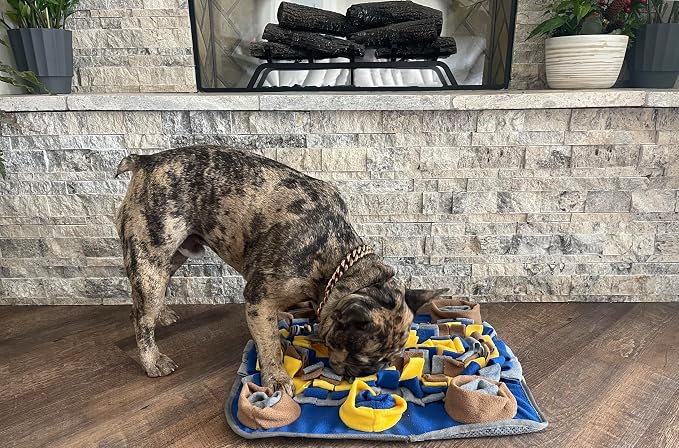 Piggy Poo and Crew Dichromatic Snuffle Foraging Mat for Dogs Perception of Color Enrichment Toy for Dogs Puppies Pigs Rabbits Cats Small Animals