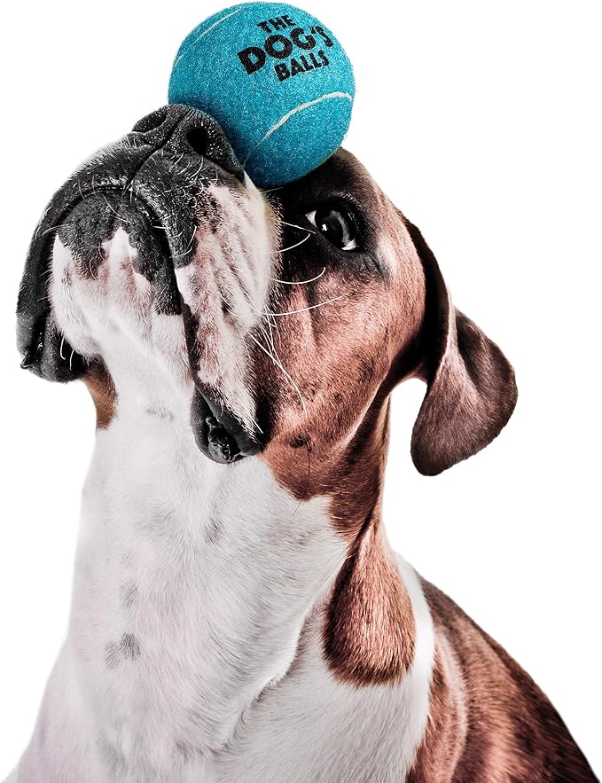 The Dog's Balls Dog Tennis Balls Tough 2.5" 12-Pack Blue Floats in Water | Our fetch balls combine non-abrasive felt exterior and a thicker rubber core Durable Dog Toy for Outdoor Play & Training