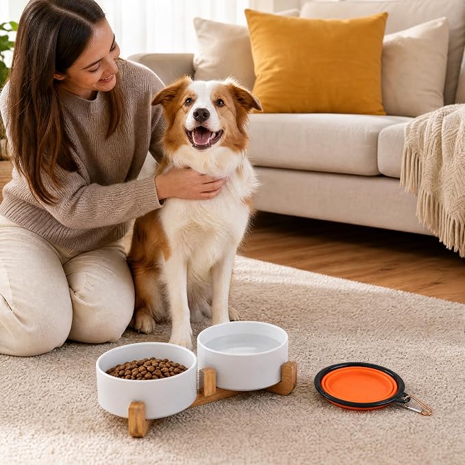 Petygooing Dog Bowls,White Ceramic Cat Dog Bowl Set with Wood Stand for Food and Water Feeder, Modern Pet Dish Set for Cats and Small Size Dogs Puppy (13.5OZ/5.1 in)
