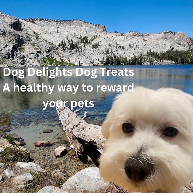 Dog Delights Beef Tendersticks, No Additives, No Preservatives, No Colours, Made in Canada (600g)