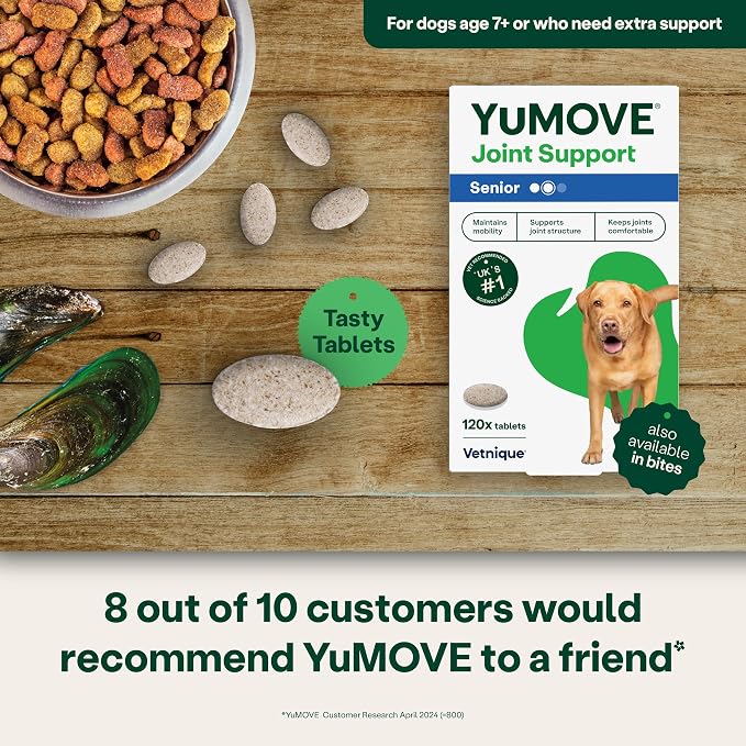 YuMOVE Senior Dog Joint Supplement with ActivEase Green Lipped Mussel - Glucosamine for Dogs, Hyaluronic Acid & Omega 3 – Advanced Mobility Support for Aging Dogs (120ct Chewable Tablets)