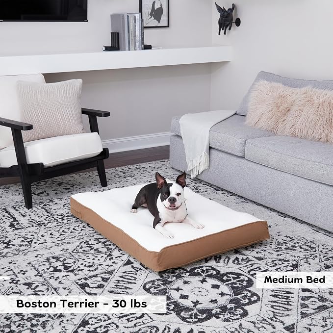 Happy Hounds Daisy Deluxe Supportive Sherpa Dog Bed, Medium (42 x 30 in.), Mocha