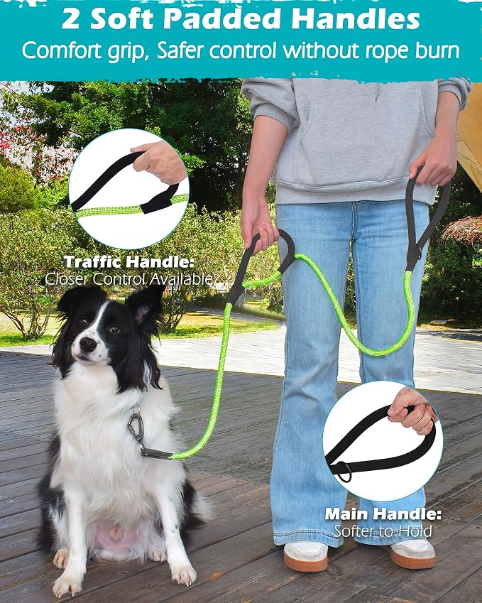 PetBonus Double Handle Rope Dog Leash and 2-Pack Large Silicone Collapsible Dog Bowls