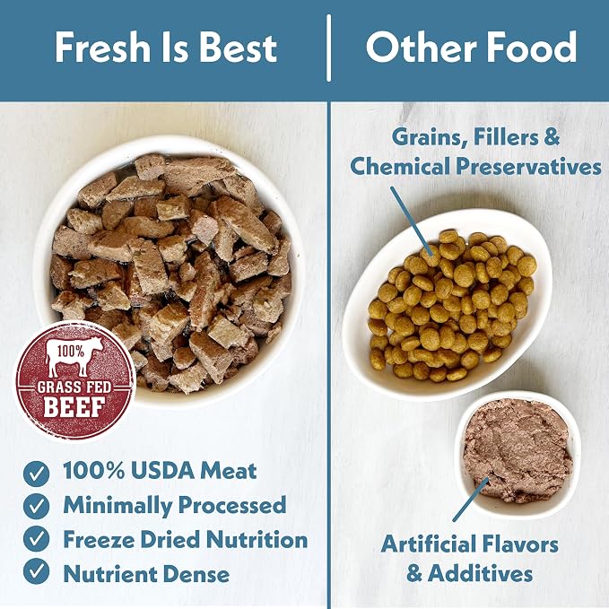 Fresh Is Best Beef Freeze Dried Cat Food – Raw Cat Food for Kittens & Adult Felines – High-Protein Freeze Dried Beef in Resealable Zipper Bag – Made in the USA – 8 oz