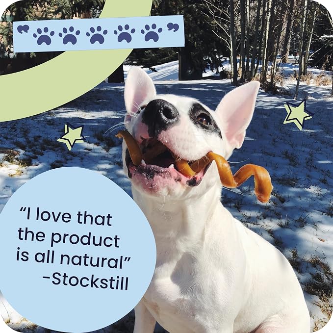 Pawstruck All-Natural 12" Bully Sticks for Dogs - Long Lasting, Rawhide-Free, Low Odor & Grain-Free Dental Chew Treat - Healthy Single Ingredient, 100% Real Beef - 1 lb Bag