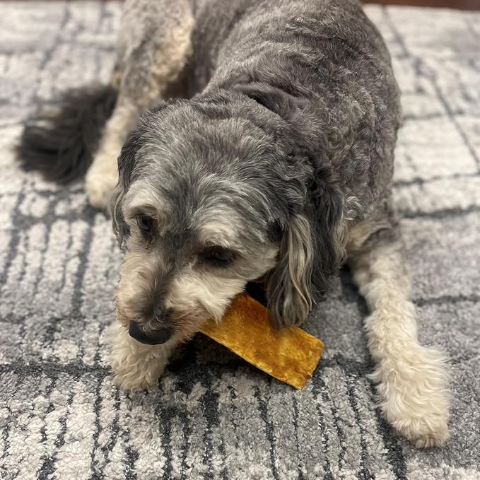 Fieldcrest Farms Nothin to Hide Flip Chips Dog Chews - Natural Rawhide Alternative Treats for Dogs, Collagen Based Snack for Moderate Chewers Up to 35lbs, Beef Flavor