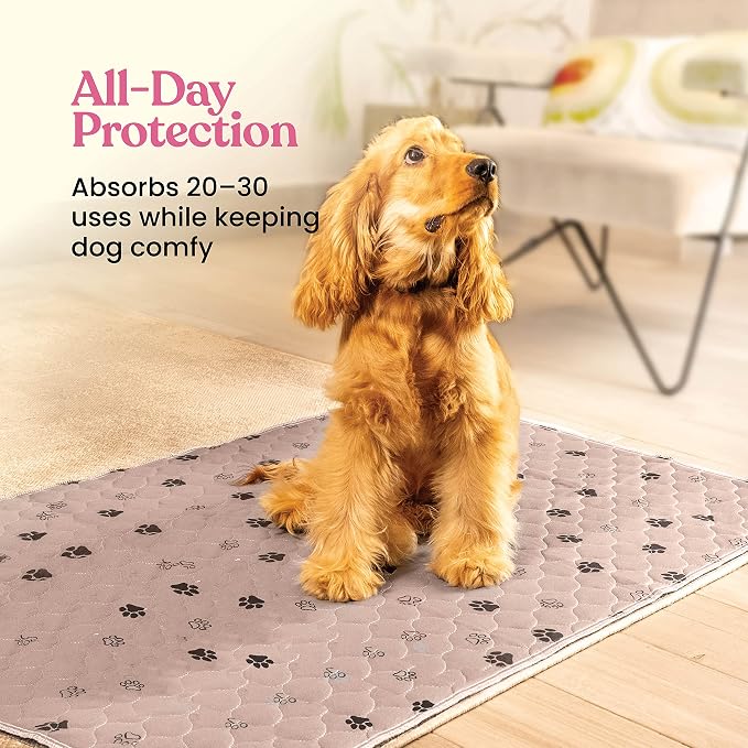 Super Absorbent Washable Pee Pads for Dogs - 2-Pack Superior Reusable Puppy Pads Pet Training Pads –100% Waterproof Dog Pee Pad Protects Against Urine Leakage Non-Slip Grip Prevents Slipping& Bunching