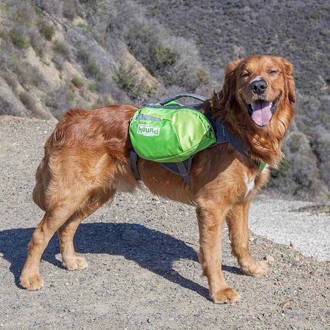 Outward Hound DayPak Green Dog Saddleback Backpack, Large