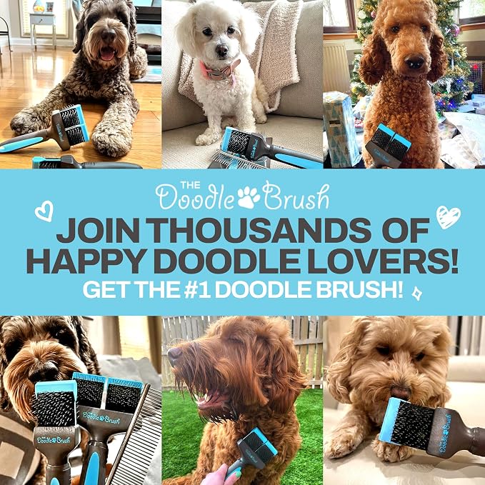 The Doodle Brush, Slicker Brush for Dogs Detangler, Poodle Pin Dematting Dog Hair Brushes, Extra Long Pin Slicker for Goldendoodle, Cockapoo, Cavapoo, Tangle-Free Grooming Shiny Coat Pet Brushes