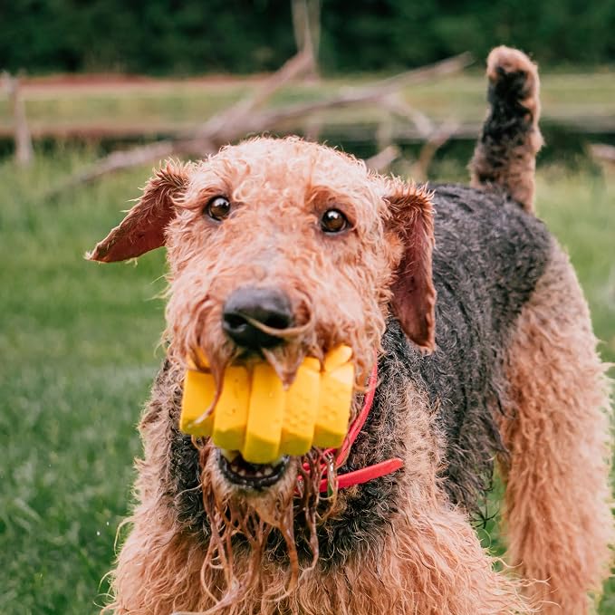 HIVE Parent (Unscented Yellow, Hive Chew Toy for Large Dogs)