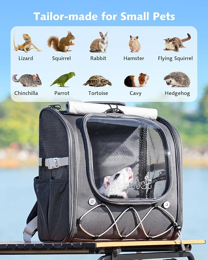 Pecute Small Pet Carrier, Breathable Bearded Dragon Carrier, with Transparent Bubble & Steel Frame, Safety Lock for Hamster, Rabbit, Guinea Pig, Parrot, Kitten, Puppy, Ideal for Travel/Vet Visits/Camp