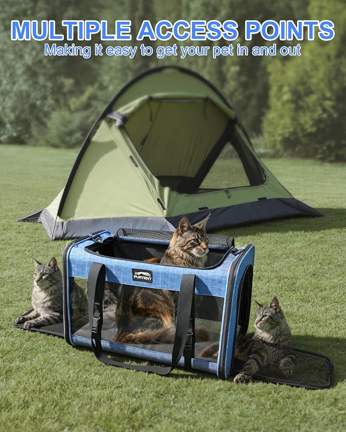 Soft-Sided Large Cat Carrier for 2 Cats, Spacious Foldable Pet Travel Carrier for Large Cats up to 25 Lbs, Double Cat Bag with Shoulder Strap, 20x13x13 Inch, Fits Maine Coon and Small Dogs, Blue