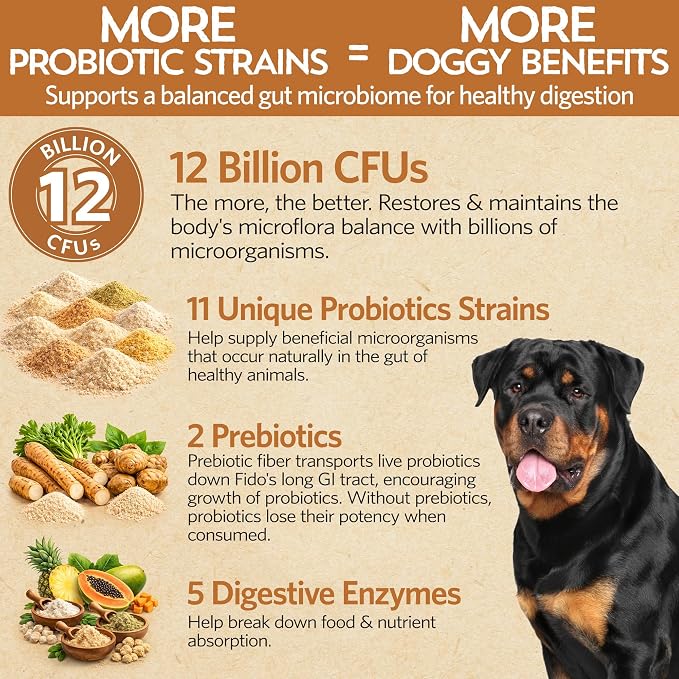 Fidobiotics Good Guts Probiotics for Dogs – Dog Probiotic Powder for Digestive Health, Gas Relief & Firmer Stools, 12B CFUs, Enzymes & Prebiotics, Large Dogs, Puppies & Adults