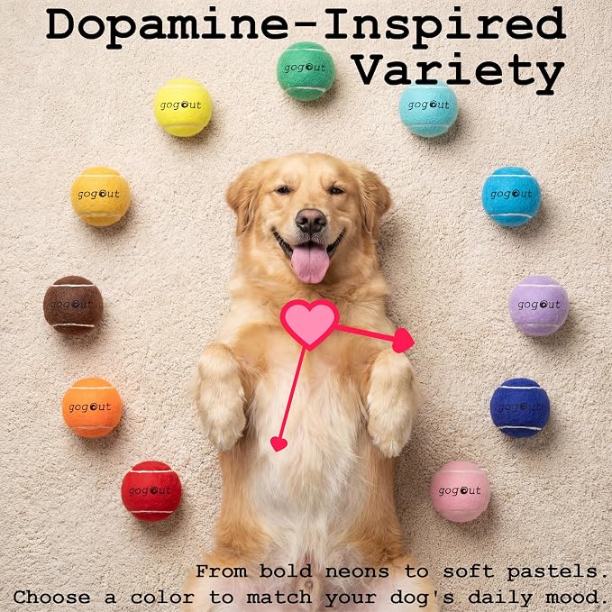 Squeaky Fetch Balls for Dogs, Rainbow Set Dog Toy, Multicolor Tennis Balls for Dogs, 12 Count Gift-Ready Dog Ball Box, 2 Inch Small