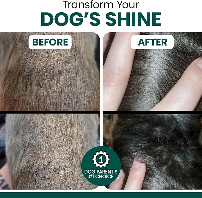 Vegan Omega 3 Oil for Dogs - 4 oz of Fish Free Algae Oil for Healthy Skin and Coat - Made with Omega 3 and 6 Fatty Acids, EPA, DHA, and DPA - Made in the USA