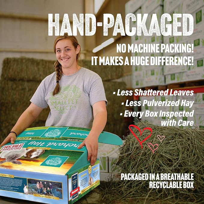 Small Pet Select Orchard Grass Hay Pet Food, 20 Lb.