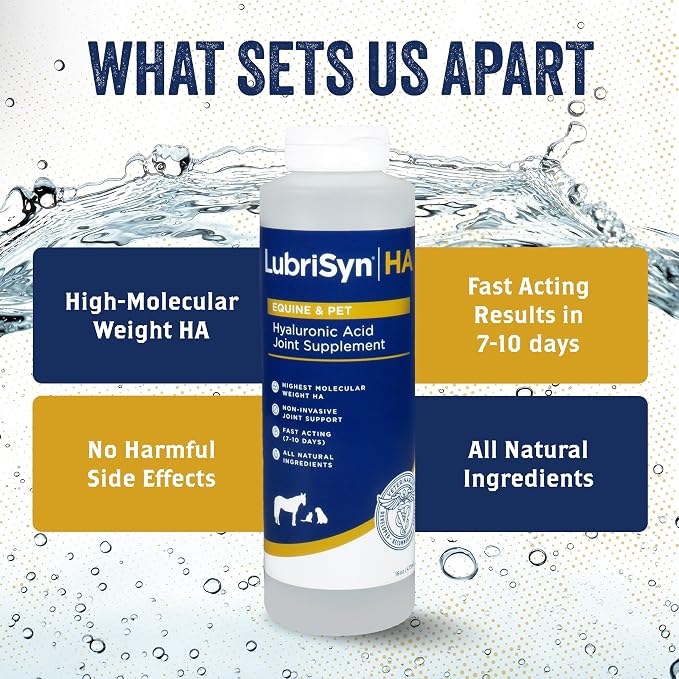 LubriSyn HA Hyaluronic Acid Hip & Joint Supplement for Dogs & Cats, Vet-Developed Oral HA, Original Pet & Equine Liquid Formula Supports Mobility, Cartilage Health & Comfort, 16 oz