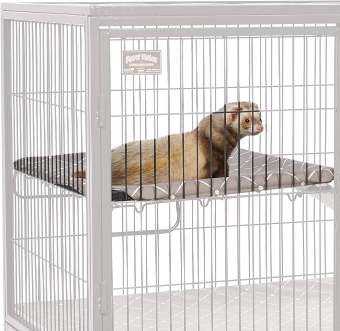 MidWest Homes for Pets Ferret Nation & Critter Nation Accessories Kit (NA-KIT1MRD), Kit 1