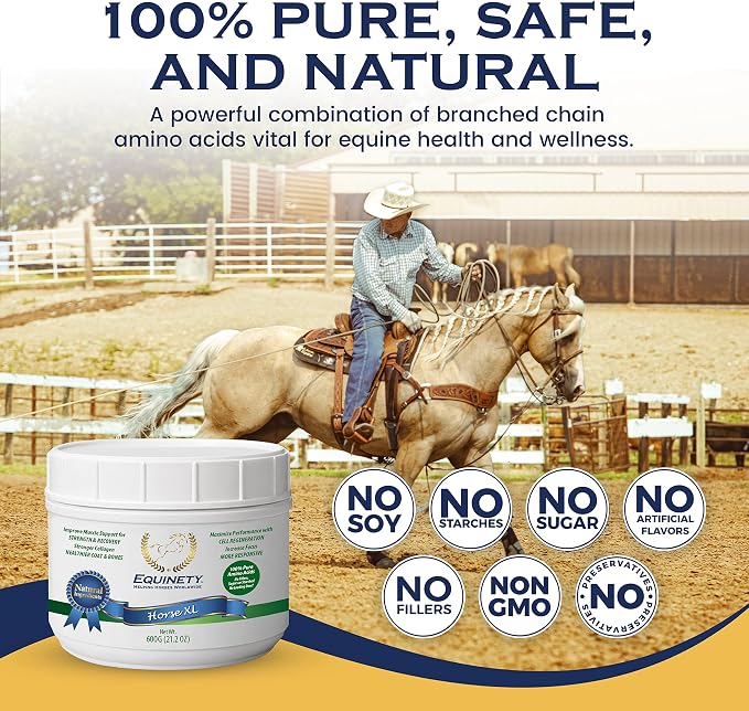 100-Day Supply Horse XL Supplement – Amino Acids for Cellular Repair, Coat Defense, Weight Gain, Joint & Hoof Support – No Soy/Sugar – Equine Supplements for Muscle, Immune Support & Overall Health