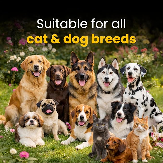 Fur Ball Story Calm Pet Pro - Calming Supplement for Dogs & Cats | Supports Relaxed Mood | Banana-Vanilla Flavour (50 Tablets)