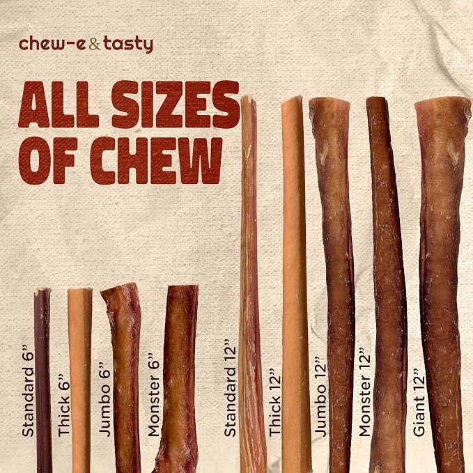chew-e&tasty 12" Thick Bully Sticks for Dogs (Pack of 10) - Thick Chews for Dogs, Fully Digestible Beef Treats, Supports Dental Health, Long Lasting Beef Chews
