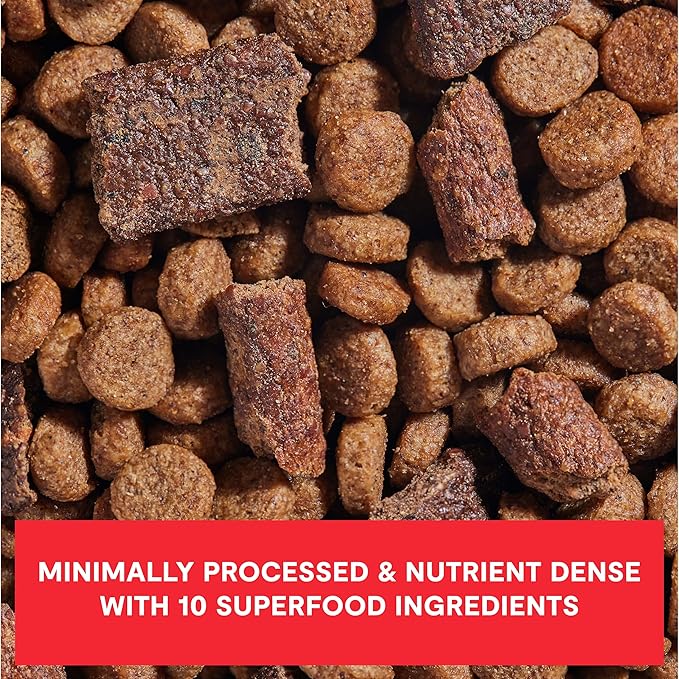 Open Farm, Epic Blend Grain Free High Protein Dry Dog Food, Probiotic Coated & Bone Broth Infused Kibble with Air Dried Meat & Organs, Beef & Superfood Recipe, 18lb Bag