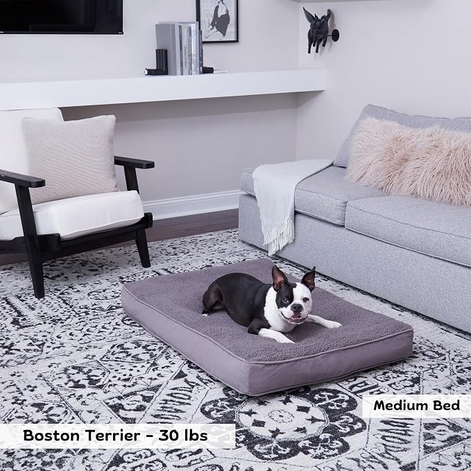 Happy Hounds Daisy Deluxe Supportive Sherpa Dog Bed, Medium (42 x 30 in.), Pewter