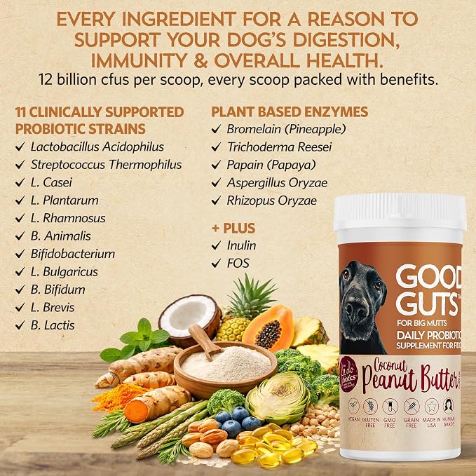 Fidobiotics Good Guts Probiotics for Dogs – Dog Probiotic Powder for Digestive Health, Gas Relief & Firmer Stools, 12B CFUs, Enzymes & Prebiotics, Large Dogs, Puppies & Adults