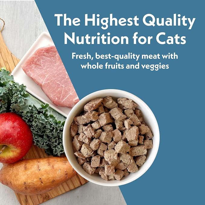 Fresh Is Best Pork Freeze Dried Cat Food – Raw Cat Food for Kittens & Adult Felines – High-Protein Freeze Dried Pork in Resealable Zipper Bag – Made in the USA – 8 oz