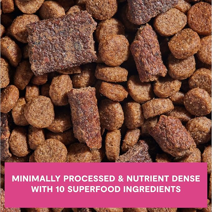 Open Farm, Epic Blend Grain Free High Protein Dry Dog Food, Probiotic Coated & Bone Broth Infused Kibble with Air Dried Meat & Organs, Salmon & Superfood Recipe, 18lb Bag