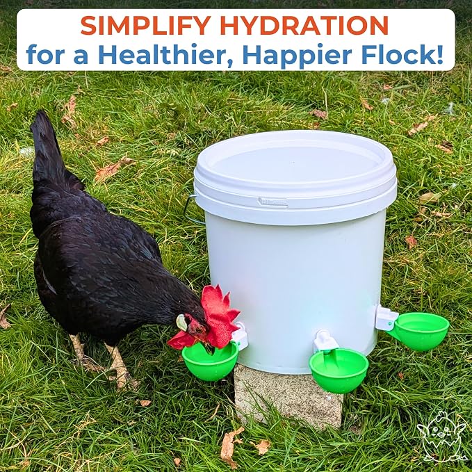 Lil'Clucker - Large Automatic Chicken Waterer Cups Suitable for Ducks, Geese, Turkeys, and Bunny Rabbit - Water Feeder Kit - Poultry Waterer (Green, 12 Pack)