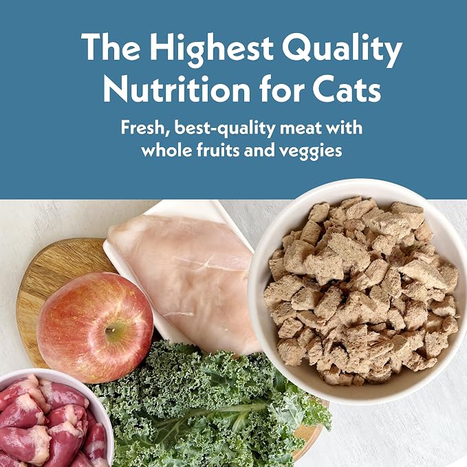 Fresh Is Best Chicken Freeze Dried Cat Food – Raw Cat Food for Kittens & Adult Felines – High-Protein Freeze Dried Raw Chicken in Resealable Zipper Bag – Made in the USA – 8 oz