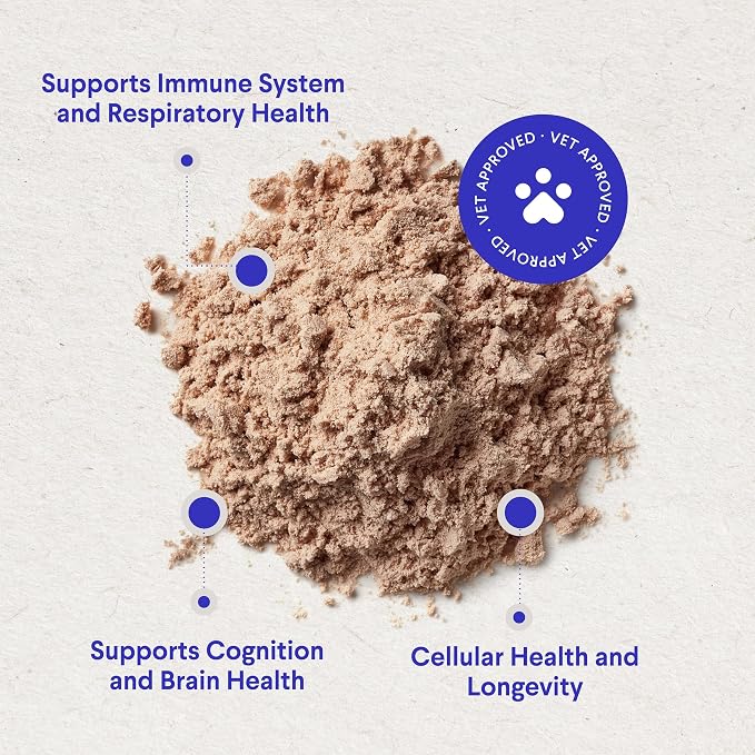 Pumpkin Powder Plus Mushroom Complex Powder - for Dog’s Digestive and Gut Health, Immune Support & Overall Health – Pumpkin 60 Scoops – Mushroom Complex 90 Scoops