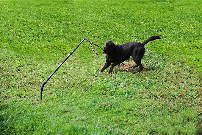 Dog Retractable Interactive Training Tug Toy - Pet Obedience Training Tug - Stable Exercise Metal Pole & Spring Rod with Replaceable Chew Rope for Small/Medium Dogs
