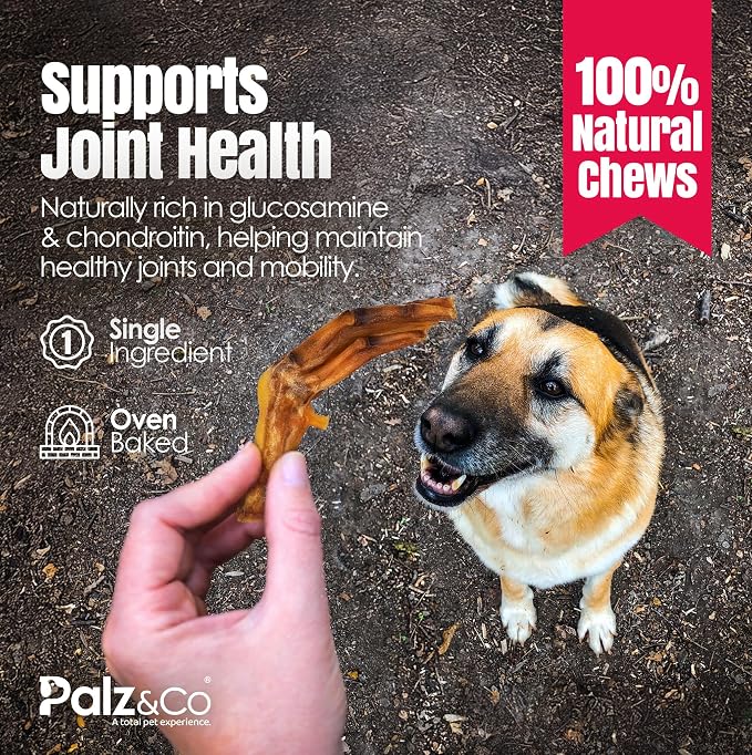 Palz&Co Duck Feet for Dogs - 35 Pack of 100% Natural Single Ingredient Dog Treats, Grain-Free, High Protein, Nail Free, Crunchy & Chewy Texture