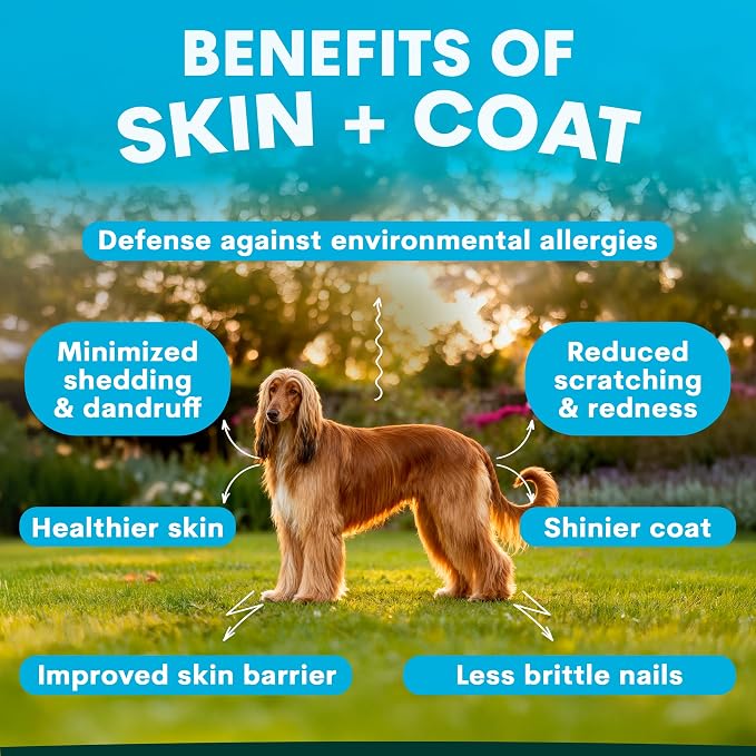 Petz Park Dog Skin and Coat Supplement 90 Scoops, Omega 3 for Dogs, Fish Oil for Dogs Skin and Coat Support, Dog Food Topper Powder, Dog Health Supplement Made in Australia