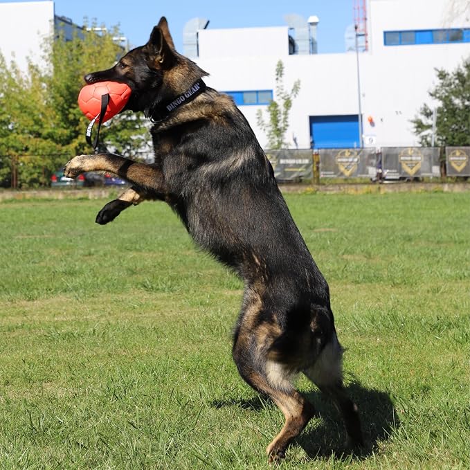 DINGO GEAR WWW.DINGOGEAR.COM 1977 Set Faux Leather Ball with Pump for Dog Training, as Reward for Fetch tug of war, for Strong Dog, Handmade, 5in Orange Z30031
