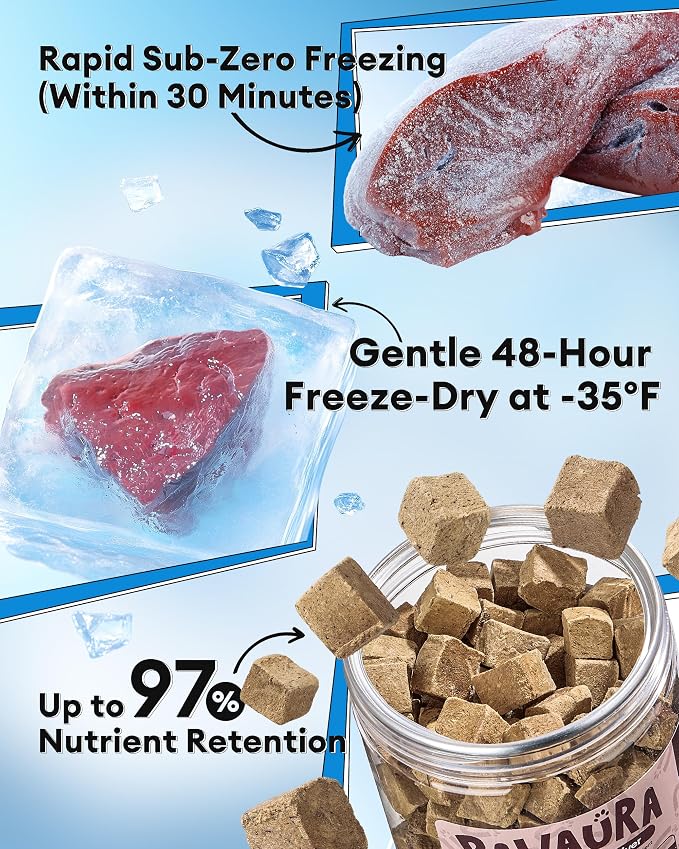 Freeze-Dried Duck Liver Treats for Dogs & Cats, Single Ingredient, High-Protein, Grain-Free, All-Natural Pet Snack, Resealable Tub, Ideal for Training or Meal Topper, 3.53oz