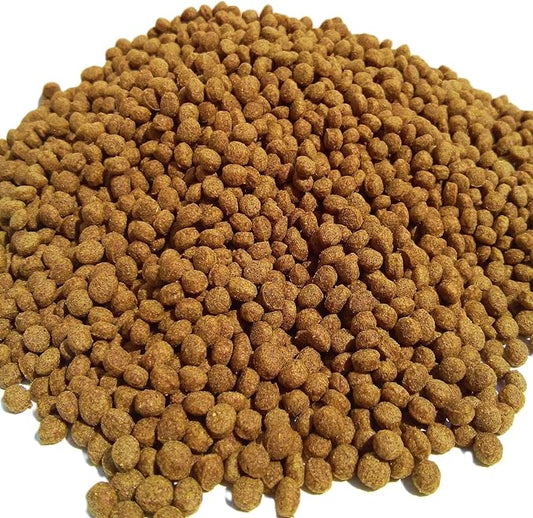 4mm - 3/16" Koi Floating Intense Growth Anchovy Meal Pellets for Koi Fish, All Pond Fish, All Medium & Large Aquarium Tropical Fish- 10-lbs