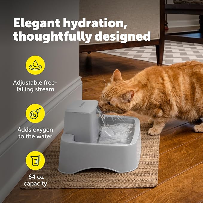 PetSafe Oasys 1/2 Gallon Pet Fountain for Cats and Small Dogs 1/2 Gallon Water Capacity Adjustable Flow Control Fresh, Filtered Water Easy to Clean - Extra Carbon and Foam Filters Included