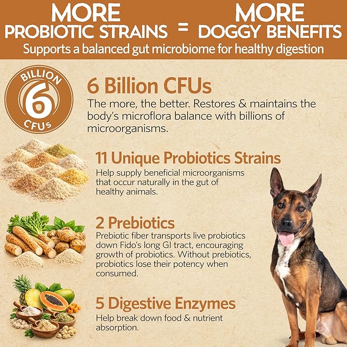 Fidobiotics Good Guts Probiotics for Dogs – Dog Probiotic Powder for Digestive Health, Gas Relief & Firmer Stools, 6B CFUs, Enzymes & Prebiotics, Medium Dogs, Puppies & Adults, Pack of 2