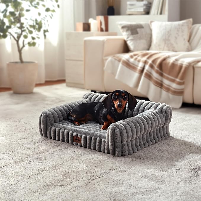 Orthopedic Dog Bed Medium Pet Beds with Removable Washable Cover, Couch-Like Sofa Design for S to XXL Dogs Up to 25 lbs, with Soft Short Plush Surface & Foam, 30x20x8.5 Inch, Grey