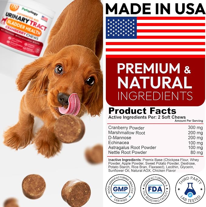 Dog UTI Treatment - 170 Cranberry Chews for Dogs - Urinary Tract Infection, Bladder & Kidney Health Multivitamin - Cranberry Supplement for Dogs with D-Mannose - Dog Vitamins and Supplements