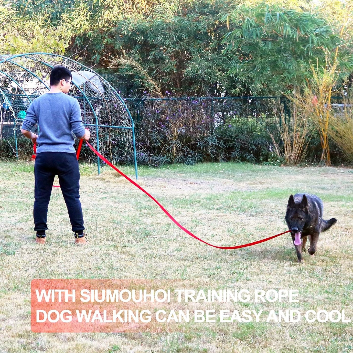 Siumouhoi Dog/Puppy Obedience Recall Training Agility Lead - 15ft 20ft 30ft 40ft 50ft Training Leash - Great for Play, Camping, or Backyard - Orange 20ft (20Feet, Orange)