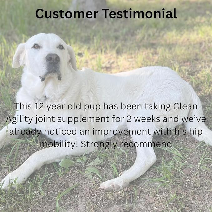 Joint Health for Dogs - Most Effective Natural Hip & Joint Supplement Available - Formulated with Veterinarians, Glucosamine, Chondrointin, MSM, Turmeric (Powder)