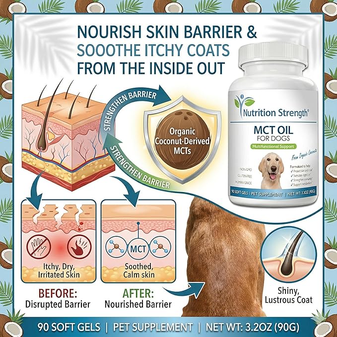 MCT Oil for Dogs from Organic Coconuts - Support Cognitive Function & Energy - Pure C8 & C10 Medium Chain Triglycerides - Boost Immunity & Senior Dog Brain Support, 90 Soft Gels