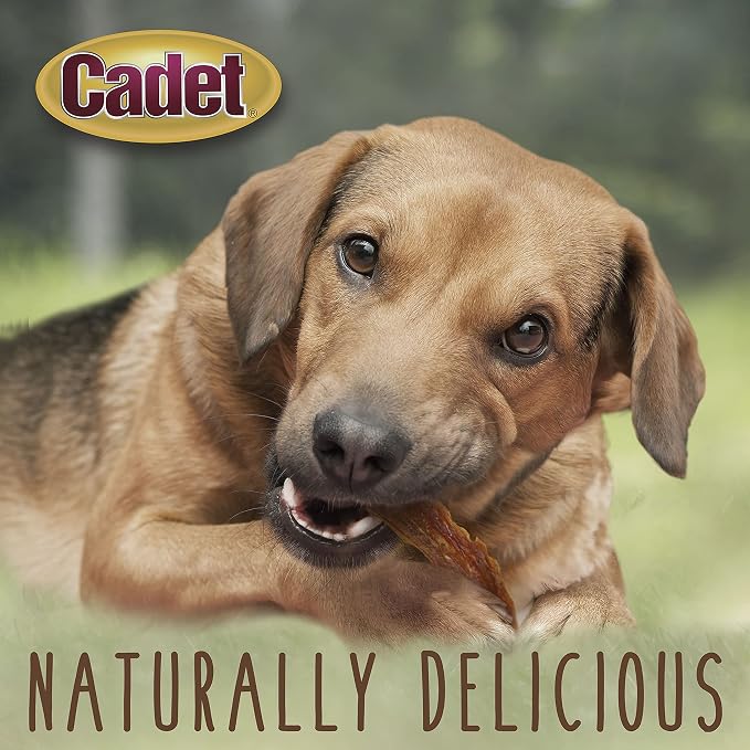 Cadet Gourmet Duck Jerky Dog Treats For Training - Healthy & Natural Dog Training Treats for Small & Large Breeds - Inspected & Tested in USA (3 oz.)