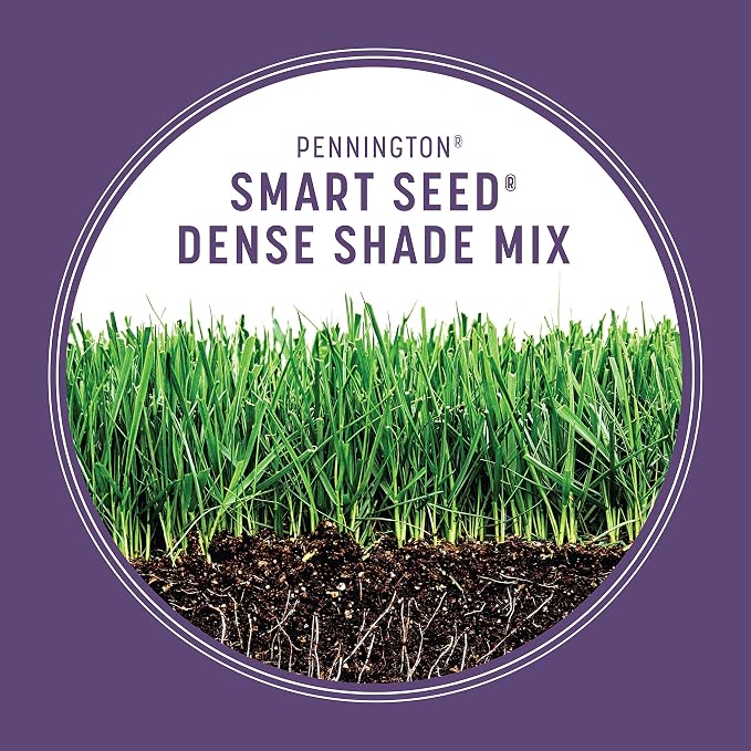 Pennington Smart Seed Dense Shade Mix, Grass Seeds for Lawn, 4/7 lb