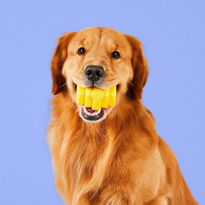 HIVE Parent (Unscented Yellow, Hive Chew Toy for Large Dogs)